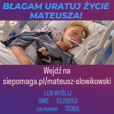 Zdjęcie główne wgrane przez użytkownika