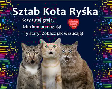 Zdjęcie główne wgrane przez użytkownika