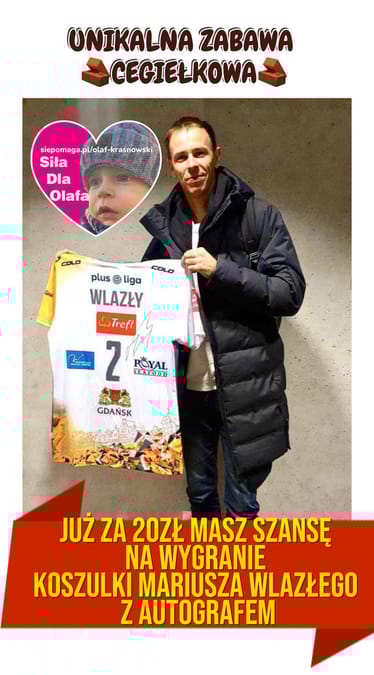 Main photo uploaded by the user