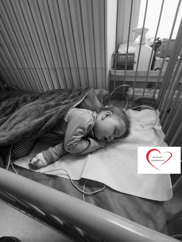 Zdjęcie główne wgrane przez użytkownika