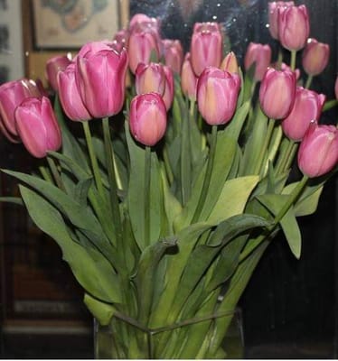 Zdjęcie główne wgrane przez użytkownika