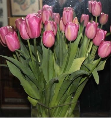 Zdjęcie główne wgrane przez użytkownika