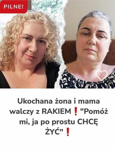 Zdjęcie główne wgrane przez użytkownika