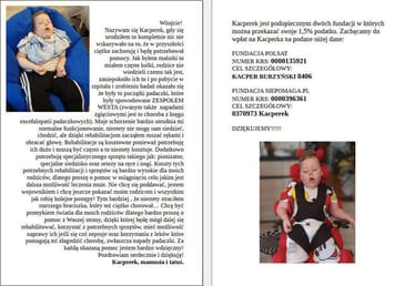 Zdjęcie główne wgrane przez użytkownika