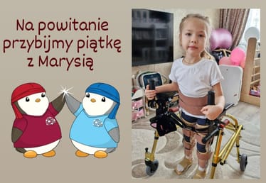 Main photo uploaded by the user