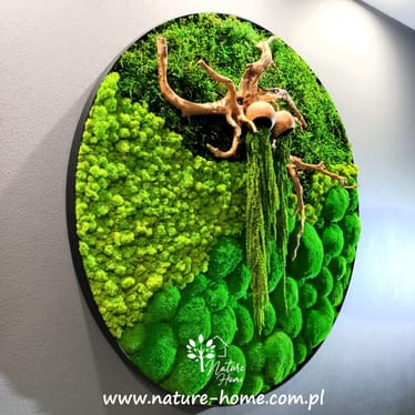 Main photo uploaded by the user