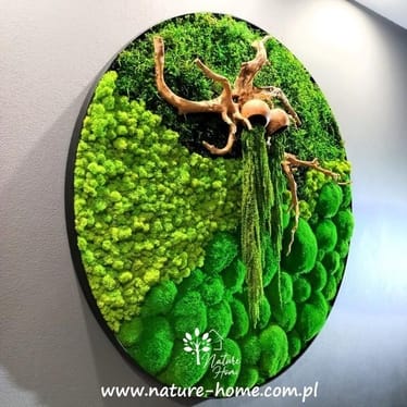 Zdjęcie główne wgrane przez użytkownika