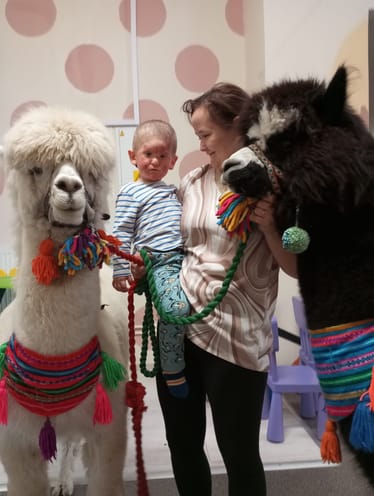 Main photo uploaded by the user