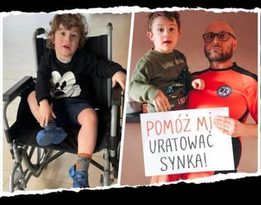 Zdjęcie główne wgrane przez użytkownika