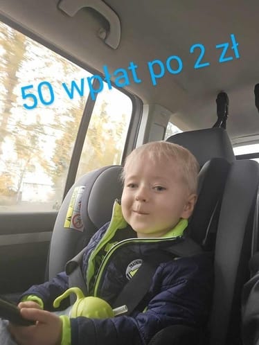 Zdjęcie główne wgrane przez użytkownika