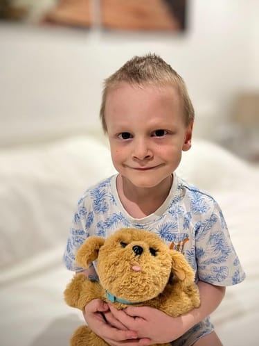 Zdjęcie główne wgrane przez użytkownika