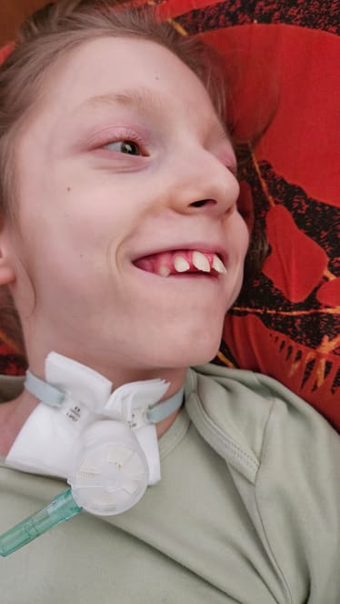 Zdjęcie główne wgrane przez użytkownika