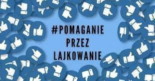 Main photo uploaded by the user