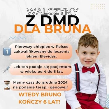 Zdjęcie główne wgrane przez użytkownika