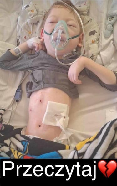 Main photo uploaded by the user