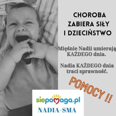 Main photo uploaded by the user