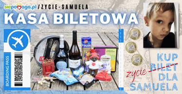 Main photo uploaded by the user