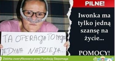 Zdjęcie główne wgrane przez użytkownika