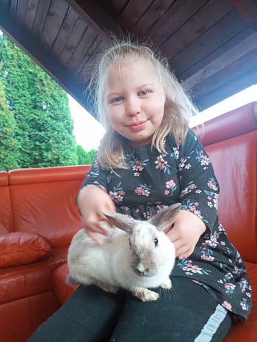 Main photo uploaded by the user