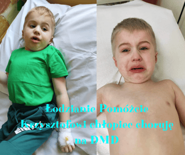 Zdjęcie główne wgrane przez użytkownika