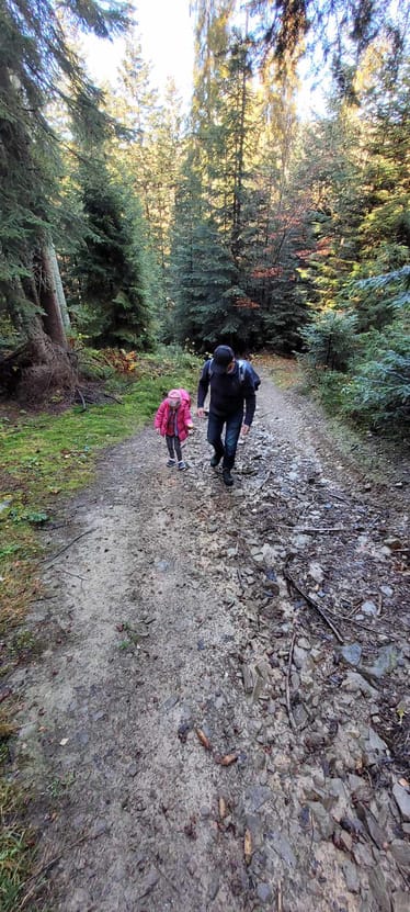 Zdjęcie główne wgrane przez użytkownika