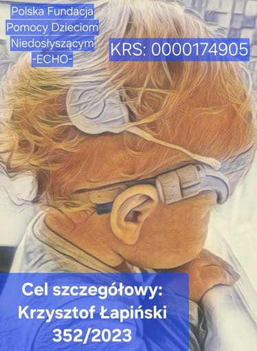 Zdjęcie główne wgrane przez użytkownika