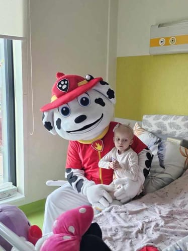 Zdjęcie główne wgrane przez użytkownika