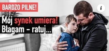 Zdjęcie główne wgrane przez użytkownika