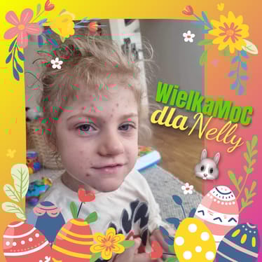 Zdjęcie główne wgrane przez użytkownika