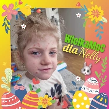 Main photo uploaded by the user