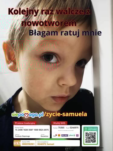 Main photo uploaded by the user