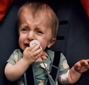 Main photo uploaded by the user