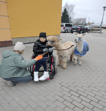 Zdjęcie główne wgrane przez użytkownika