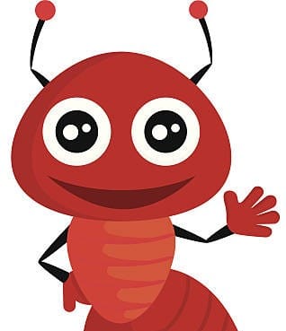 Zdjęcie główne wgrane przez użytkownika