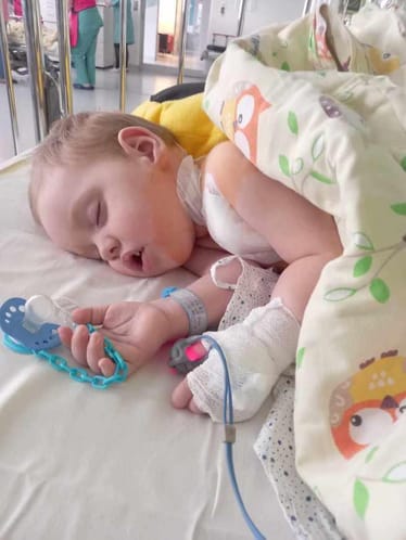 Zdjęcie główne wgrane przez użytkownika