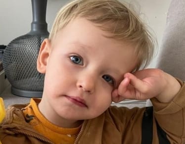 Zdjęcie główne wgrane przez użytkownika