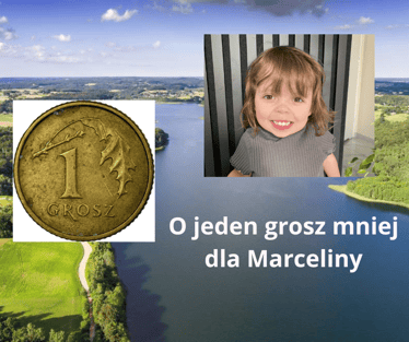 Zdjęcie główne wgrane przez użytkownika