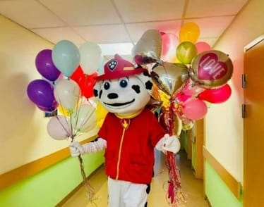 Main photo uploaded by the user