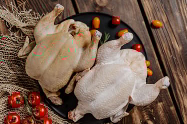 Zdjęcie główne wgrane przez użytkownika