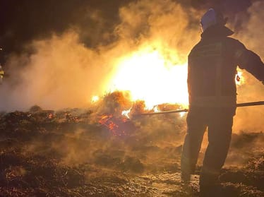 Zdjęcie główne wgrane przez użytkownika