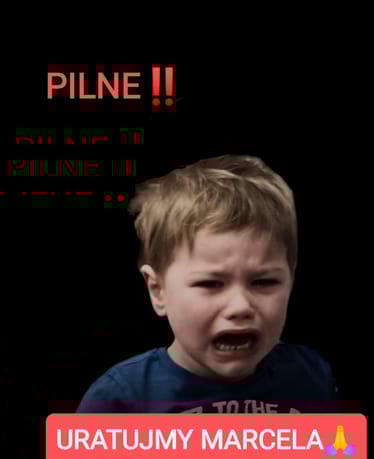 Zdjęcie główne wgrane przez użytkownika