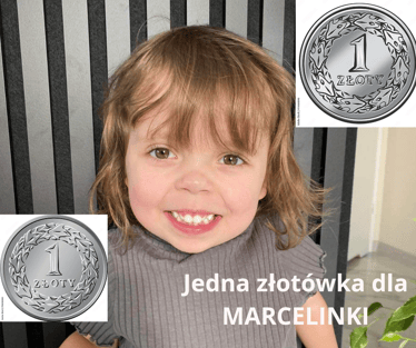 Main photo uploaded by the user