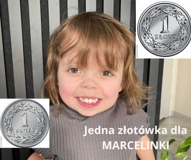 Main photo uploaded by the user