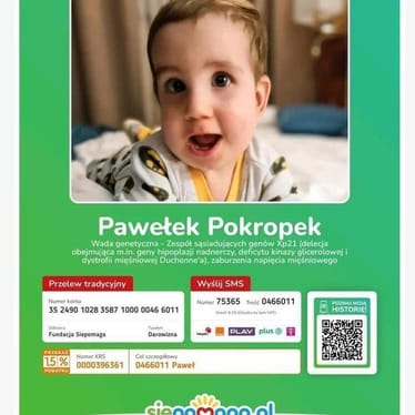 Zdjęcie główne wgrane przez użytkownika