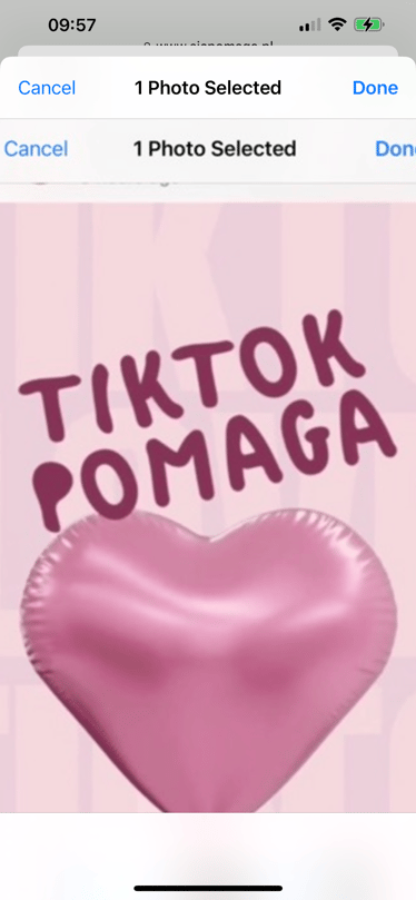 Zdjęcie główne wgrane przez użytkownika