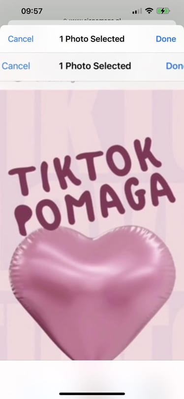 Zdjęcie główne wgrane przez użytkownika