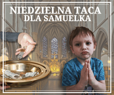 Zdjęcie główne wgrane przez użytkownika