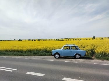 Zdjęcie główne wgrane przez użytkownika