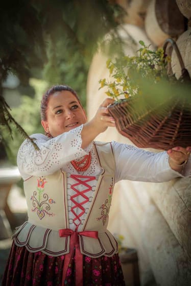 Zdjęcie główne wgrane przez użytkownika