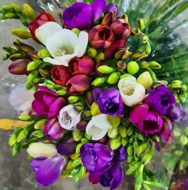 Zdjęcie główne wgrane przez użytkownika